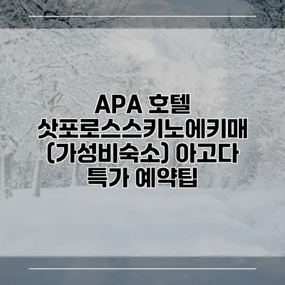 APA 호텔 삿포로스스키노에키매 (가성비숙소) 아고다 특가 예약팁