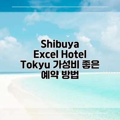 Shibuya Excel Hotel Tokyu 가성비 좋은 예약 방법