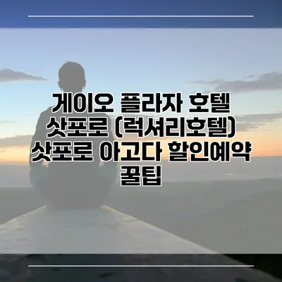 게이오 플라자 호텔 삿포로 (럭셔리호텔) 삿포로 아고다 할인예약 꿀팁