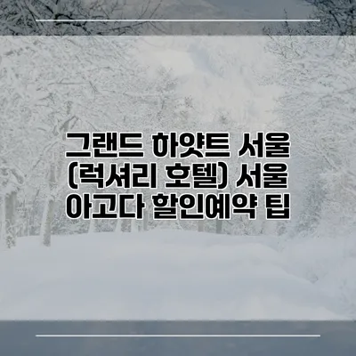 그랜드 하얏트 서울 (럭셔리 호텔) 서울 아고다 할인예약 팁