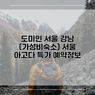 도미인 서울 강남 (가성비숙소) 서울 아고다 특가 예약정보