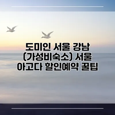 도미인 서울 강남 (가성비숙소) 서울 아고다 할인예약 꿀팁