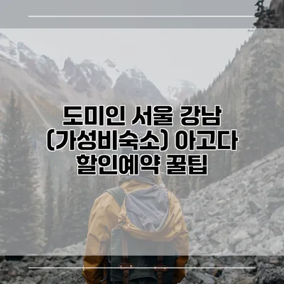 도미인 서울 강남 (가성비숙소) 아고다 할인예약 꿀팁