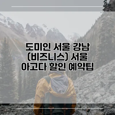 도미인 서울 강남 (비즈니스) 서울 아고다 할인 예약팁