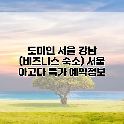 도미인 서울 강남 (비즈니스 숙소) 서울 아고다 특가 예약정보