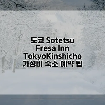 도쿄 Sotetsu Fresa Inn TokyoKinshicho 가성비 숙소 예약 팁