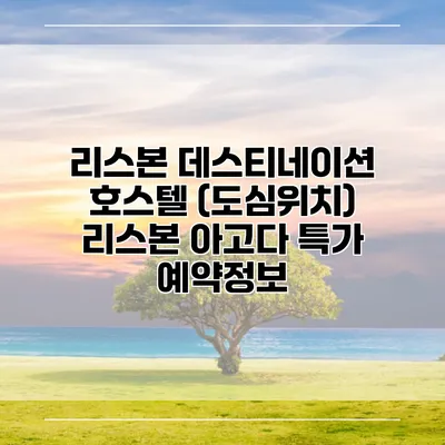 리스본 데스티네이션 호스텔 (도심위치) 리스본 아고다 특가 예약정보