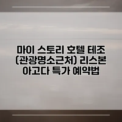 마이 스토리 호텔 테조 (관광명소근처) 리스본 아고다 특가 예약법