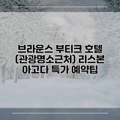 브라운스 부티크 호텔 (관광명소근처) 리스본 아고다 특가 예약팁