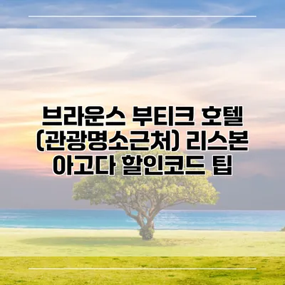 브라운스 부티크 호텔 (관광명소근처) 리스본 아고다 할인코드 팁