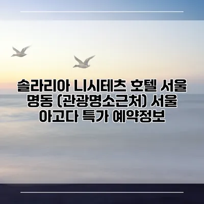 솔라리아 니시테츠 호텔 서울 명동 (관광명소근처) 서울 아고다 특가 예약정보