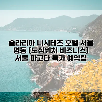 솔라리아 니시테츠 호텔 서울 명동 (도심위치 비즈니스) 서울 아고다 특가 예약팁