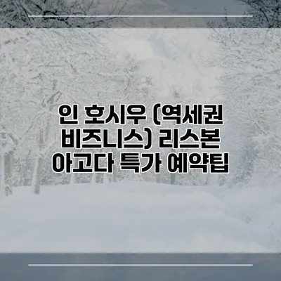 인 호시우 (역세권 비즈니스) 리스본 아고다 특가 예약팁