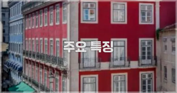 ✨ 주요 특징