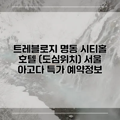 트레블로지 명동 시티홀 호텔 (도심위치) 서울 아고다 특가 예약정보