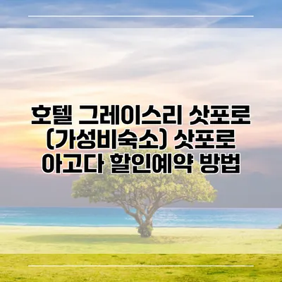호텔 그레이스리 삿포로 (가성비숙소) 삿포로 아고다 할인예약 방법
