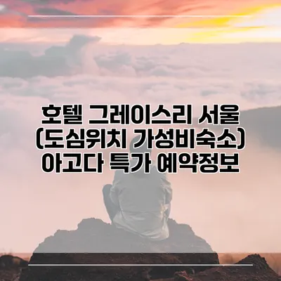 호텔 그레이스리 서울 (도심위치 가성비숙소) 아고다 특가 예약정보