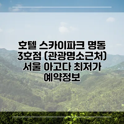 호텔 스카이파크 명동 3호점 (관광명소근처) 서울 아고다 최저가 예약정보