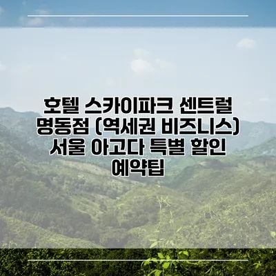 호텔 스카이파크 센트럴 명동점 (역세권 비즈니스) 서울 아고다 특별 할인 예약팁