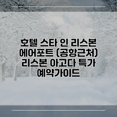 호텔 스타 인 리스본 에어포트 (공항근처) 리스본 아고다 특가 예약가이드