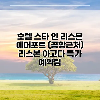 호텔 스타 인 리스본 에어포트 (공항근처) 리스본 아고다 특가 예약팁