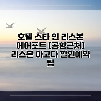 호텔 스타 인 리스본 에어포트 (공항근처) 리스본 아고다 할인예약 팁