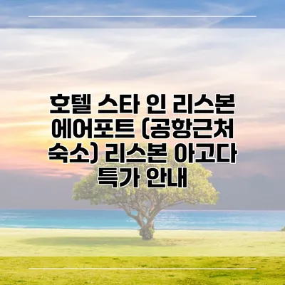 호텔 스타 인 리스본 에어포트 (공항근처 숙소) 리스본 아고다 특가 안내