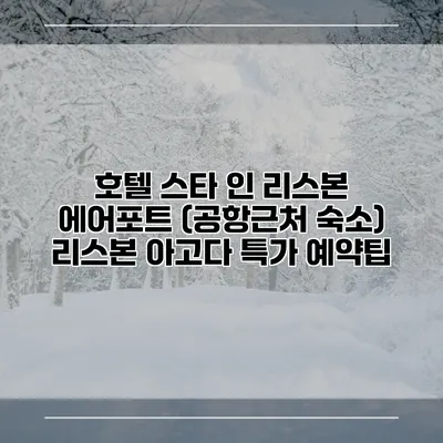 호텔 스타 인 리스본 에어포트 (공항근처 숙소) 리스본 아고다 특가 예약팁