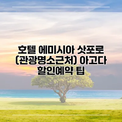 호텔 에미시아 삿포로 (관광명소근처) 아고다 할인예약 팁