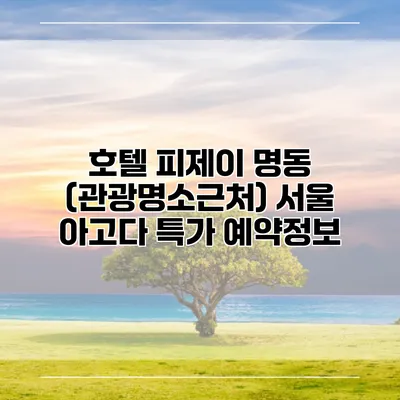 호텔 피제이 명동 (관광명소근처) 서울 아고다 특가 예약정보